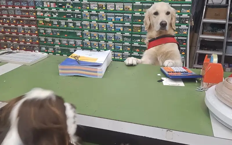 Foto di Ferramenta Patti Di Essegi