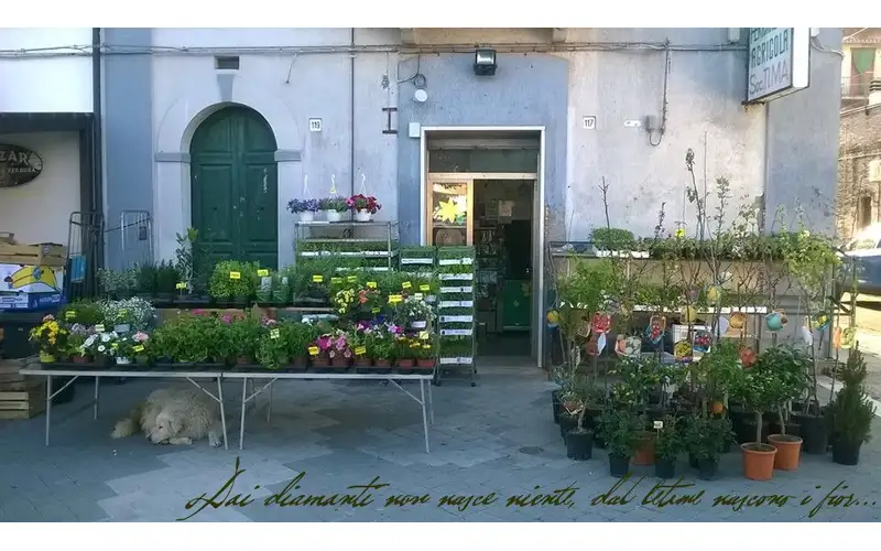 Foto di Ferramenta Ti.Ma.
