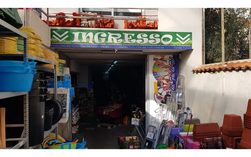 Foto di Pollice Verde